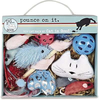 Coffret cadeau cat is good avec outils de saut de chat en toute