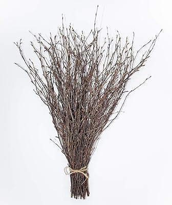 Branches de bouleau 50pcs - branches de bouleau décoratives 100% naturelles pour vases