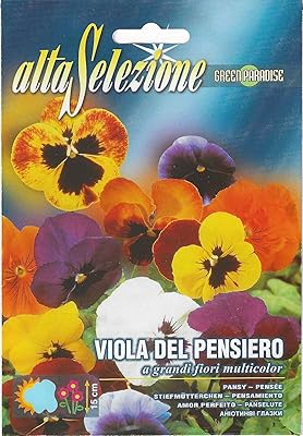 Graines de pensée alta slimone de haute qualité (fabriquées en italie) par franchi smenti. DIAYTAR COTE D'IVOIRE offre une expérience d'achat en ligne unique et pratique, permettant aux clients de trouver facilement ce qu'ils cherchent parmi ses nombreux produits. La boutique met également l'accent sur la qualité et la sécurité des transactions.