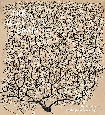Le beau cerveau : les dessins de santiago ramon y cajal